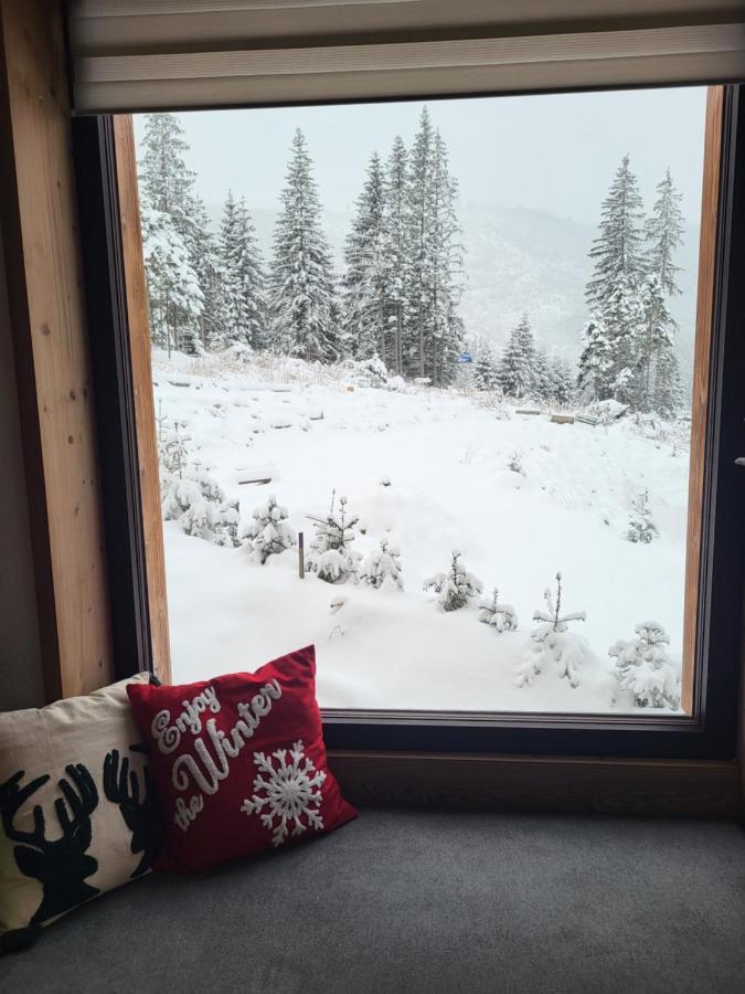 Hillview Jasna Chalet Demanovska Dolina Εξωτερικό φωτογραφία